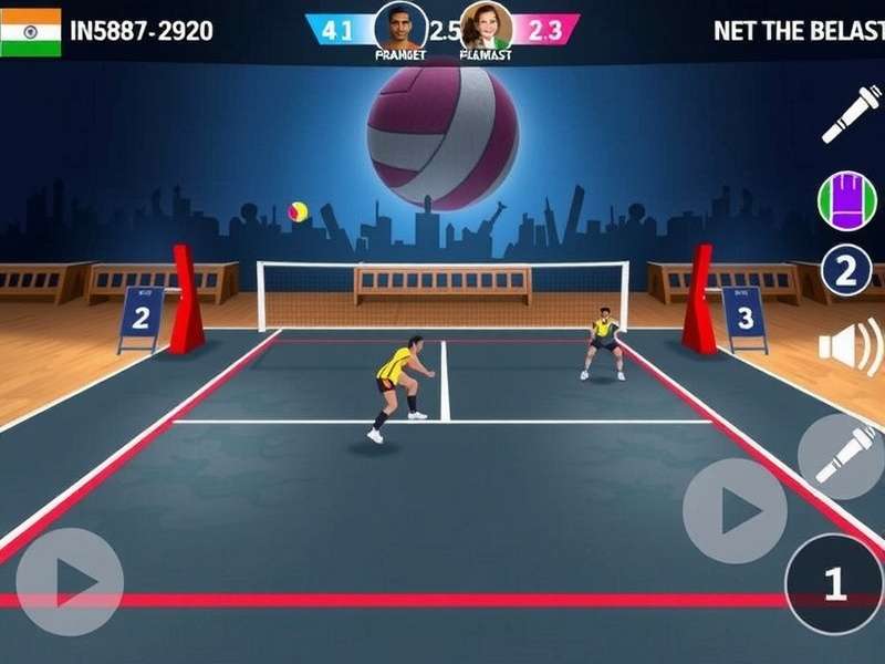 Awesome Volley Avengers India Player Statistics